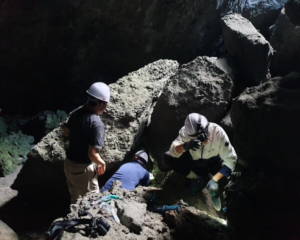 PNU Professor Lee Sang-Heon's research team went to Gajae Cave in Ulleung-do for Gangchi's bone excavation from 2021 to 2021. (Provided by Prof. Lee's research team)