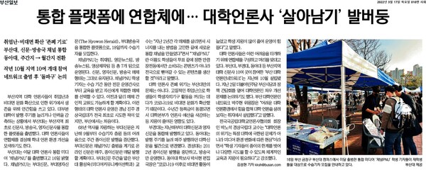 The Screenshot of “Busan Ilbo” article on March 16th.