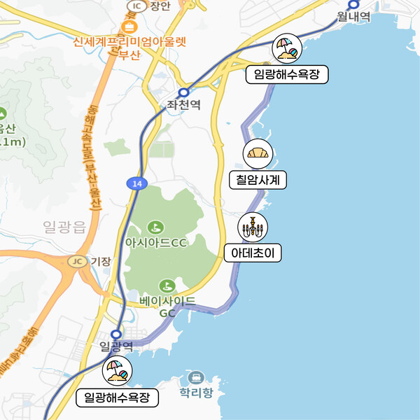 (c)한지윤 디자이너