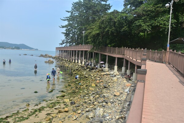 The deck road at the end of the white sand beach of Ilgwang Beach. [Seo Hae-Seong, Reporter]