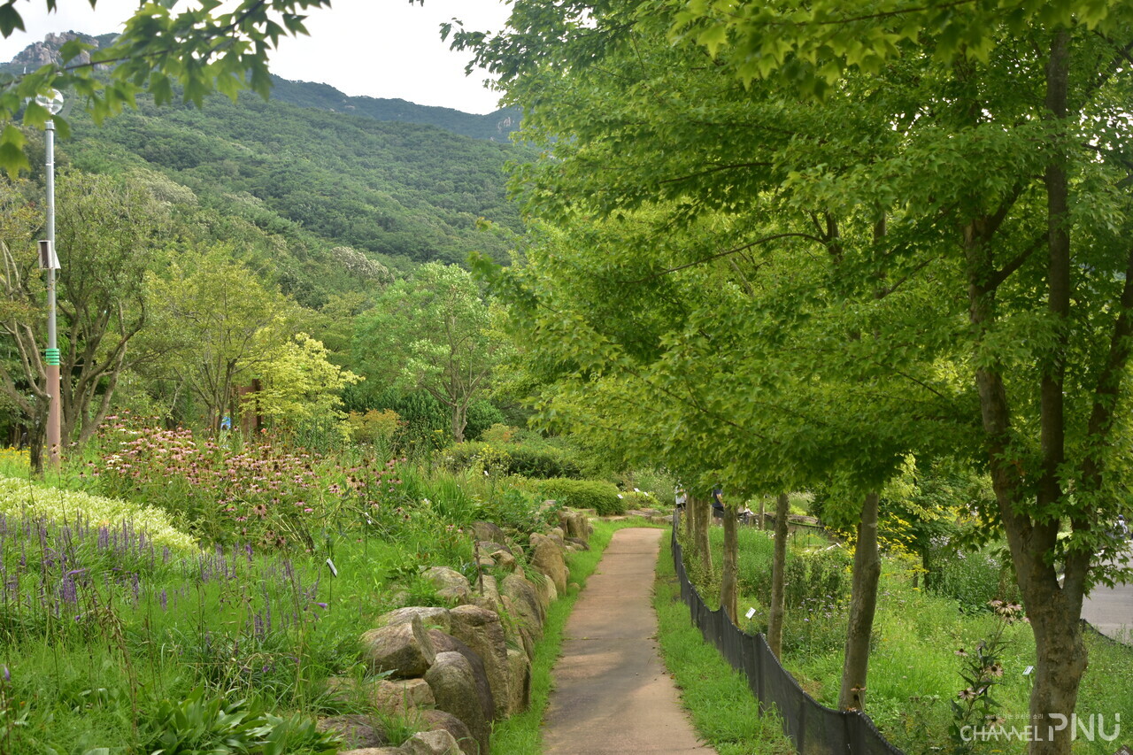The flowering plant center of the Hwamyeong Arboretum. [Lee Yoon-Seo, reporter]