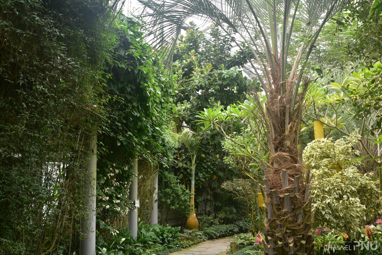 The greenhouse of the Hwamyeong Arboretum. [Lee Yoon-Seo, reporter]
