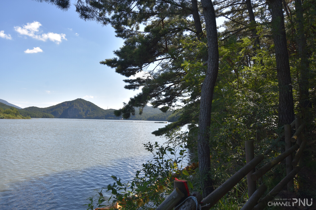 The waterside deck along the Hoedong Reservoir and the indicator of the Galmaet-gil. [Lee Yoon-Seo, reporter]