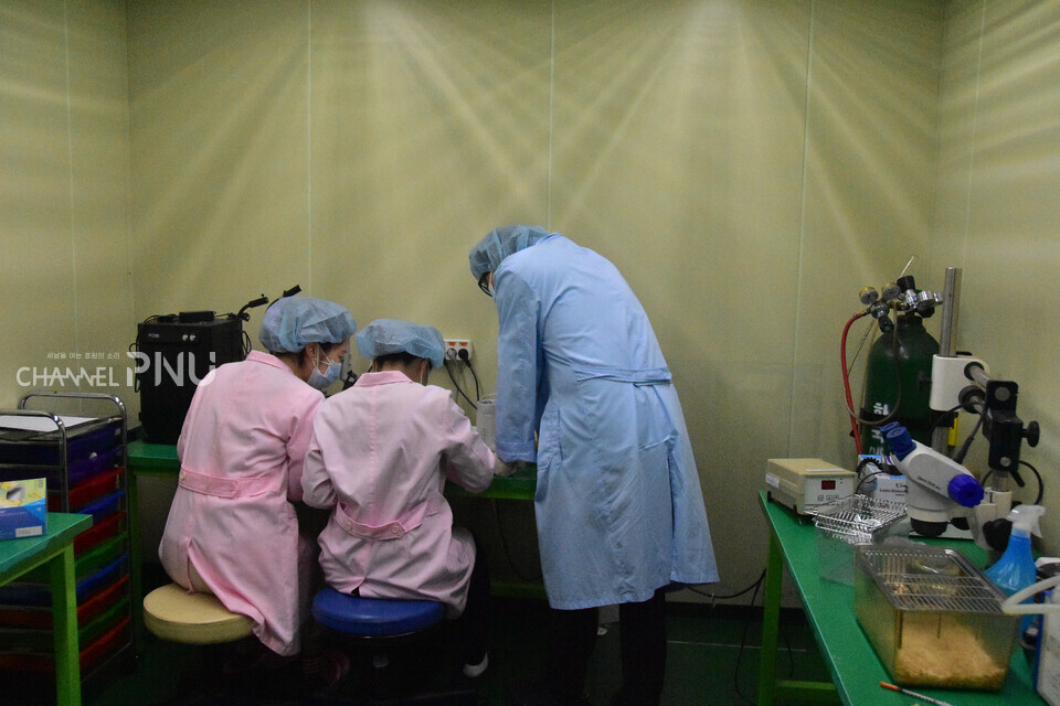 연구원들이 실험복을 착용한 상태로 실험을 진행하고 있다. [조승완 기자]