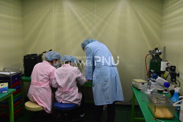 The researchers are conducting an experiment by wearing white coats. [Source: Jo Seung-Wan]
