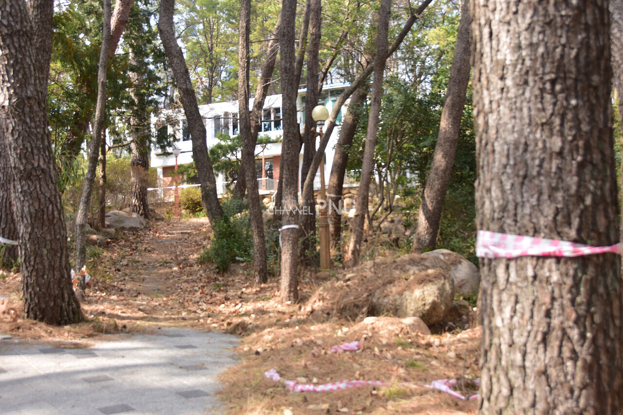 지난 3월 5일 출입 금지 테이프가 널브러져 있는 정학관 인근.  [조승완 기자]