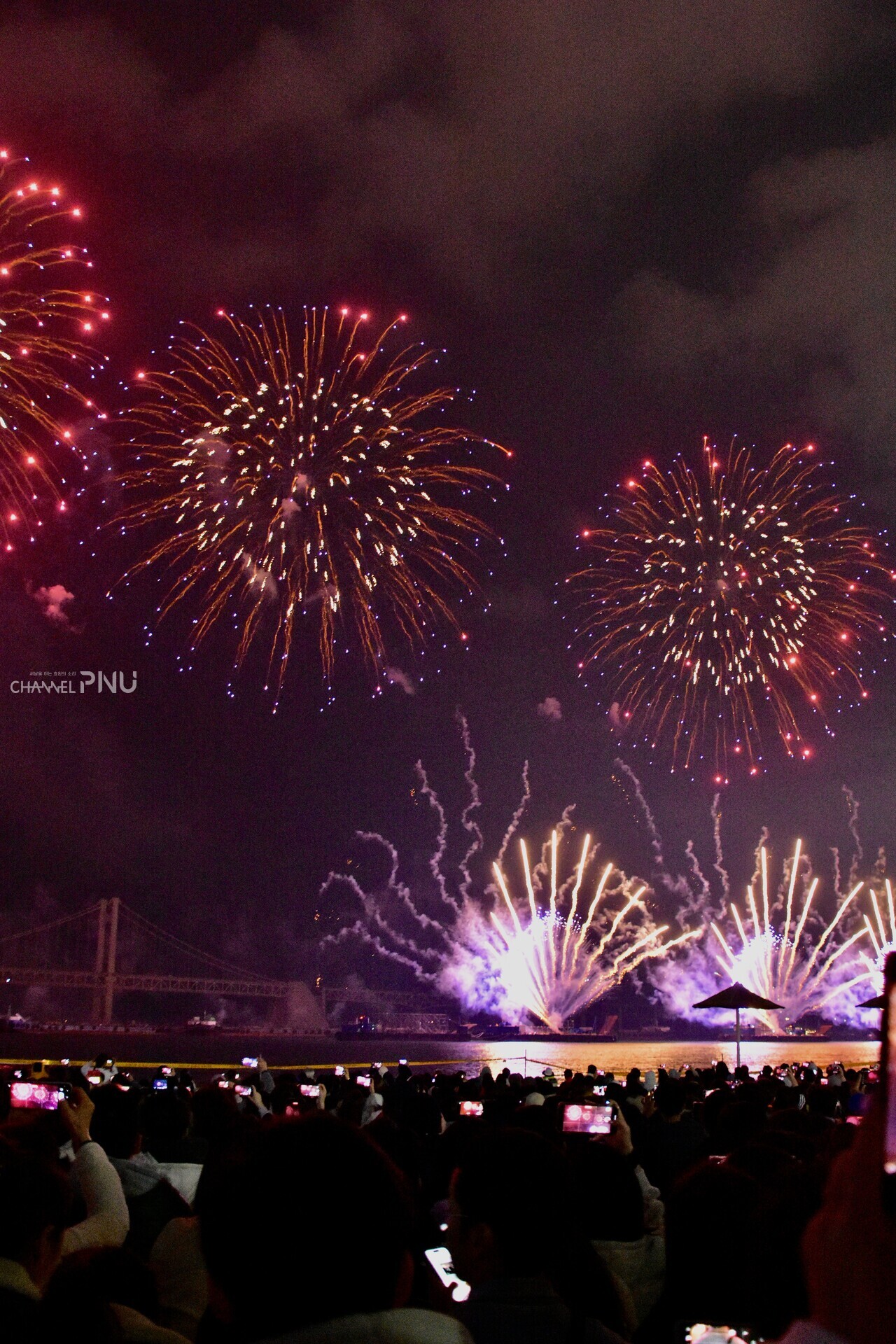 The sight of fireworks exploding in various colors and shapes. (Jun Hyung-Seo, Reporter)