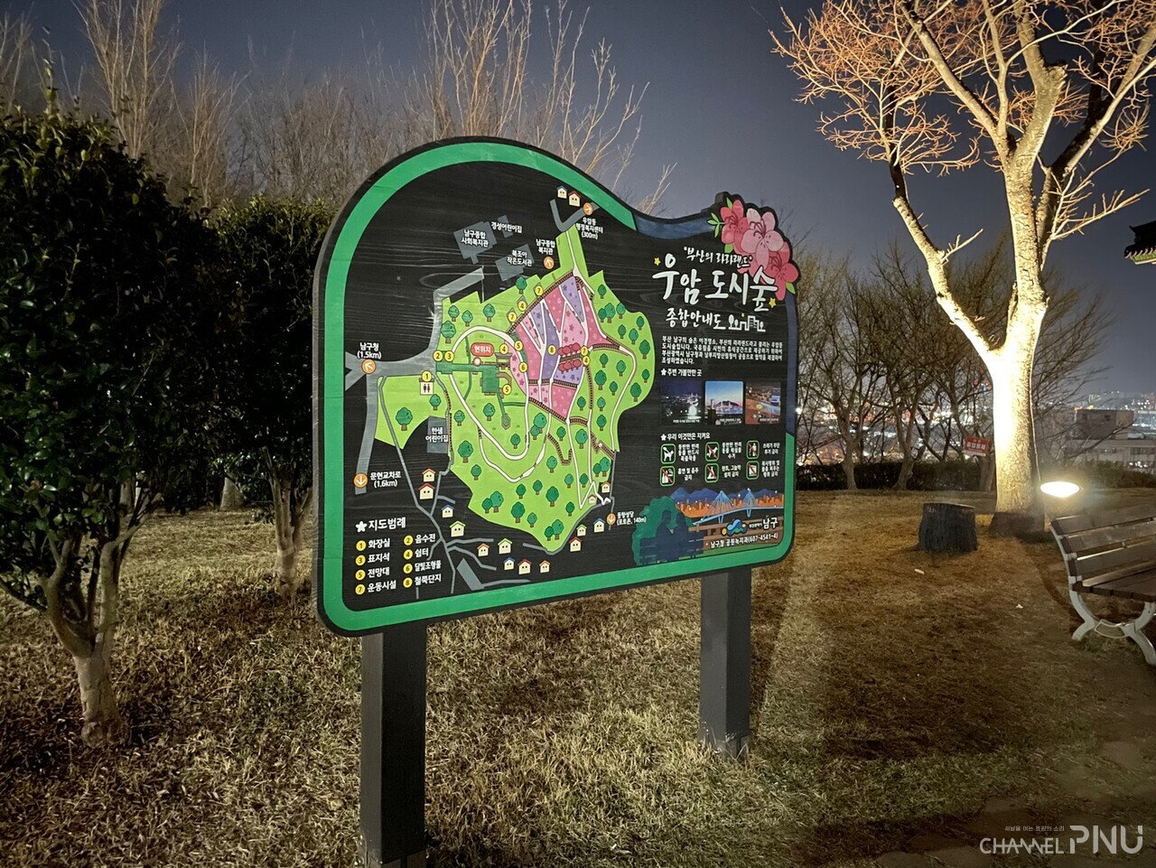 A comprehensive map of the urban forest in Uam-dong on March 19th. [Lim Chae-Kyung, reporter]