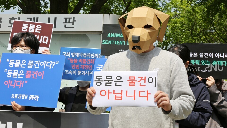 지난 4월 전국에서 활동하는 15개 동물보호단체는 국회 앞에서 '동물 비물건화' 민법 개정안의 조속한 통과를 촉구했다. [출처: 동물권행동 카라]