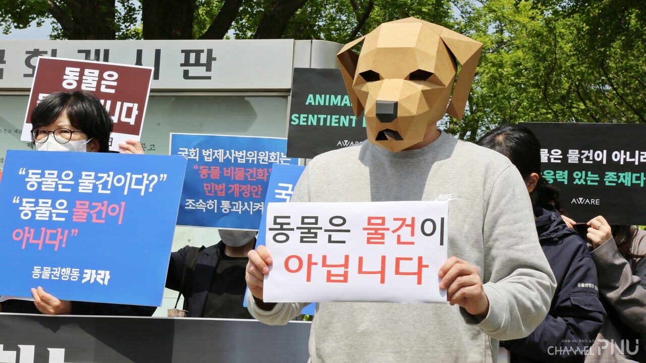 In April, 15 animal protection groups across the country urged the National Assembly to pass an amendment to the civil law on "animal non-objectification". [Source: animal rights act "Cara"]