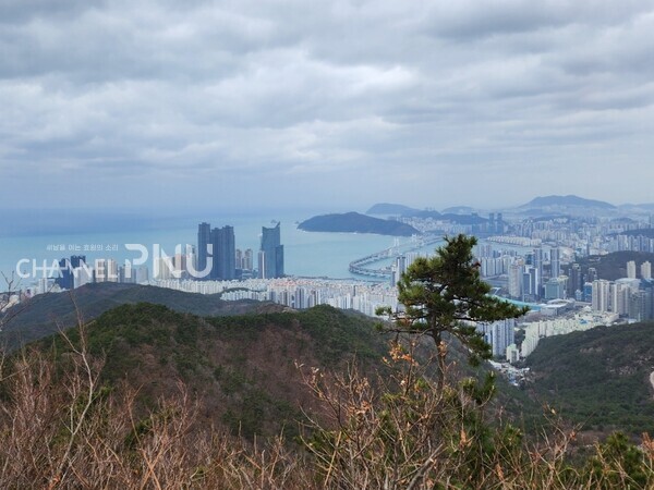 The scenery from the hiking trail of Jangsan includes a view of Gwangalli Beach. [Ha Chae-Won, Reporter]