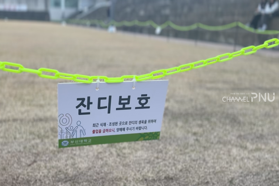 At Nuk-Teo, there are signs restricting access to the square to protect the grass. [Choi Yun-Hui, Reporter]