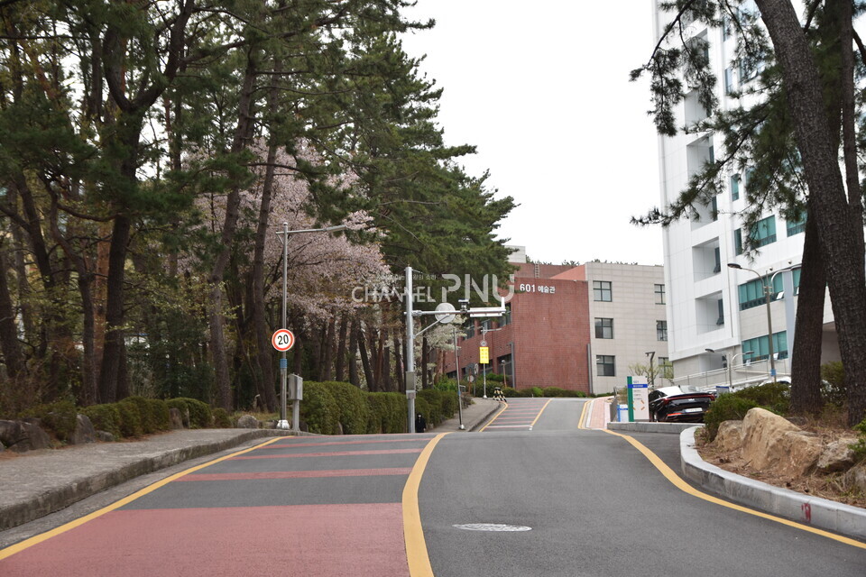 지난 4월 2일, 우리 대학 불법 주정차 단속구역인 예술관~첨단과학관 옆 도로에서 불법 주정차 차량을 볼 수 없었다. [윤지원 기자]