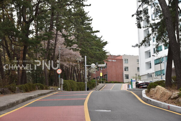 On April 2nd, there weren't illegal parking vehicles on the road adjacent to the Arts Building and the Pharmaceutical Research Building, the enforcement zone. [Yoon Ji-Won, Reporter]