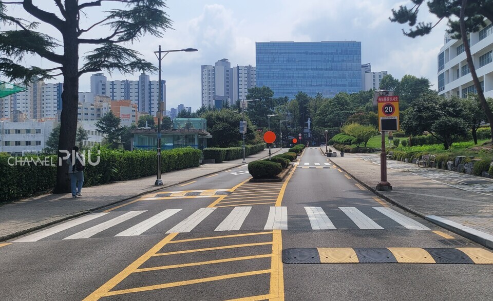 The scene of the accident in front of the Humanities Hall, where trees were removed on August 20th. [Lee Eun-Hee, Reporter]
