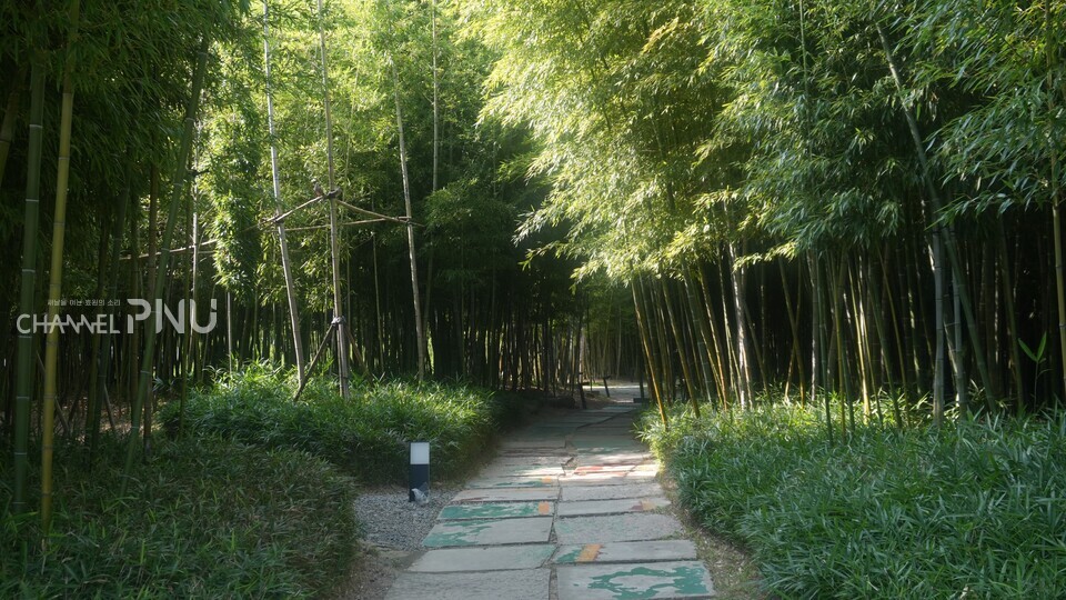 The Bamboo Sori Trail, where visitors can freely relax. [Seo Yoo-Jung, Reporter]