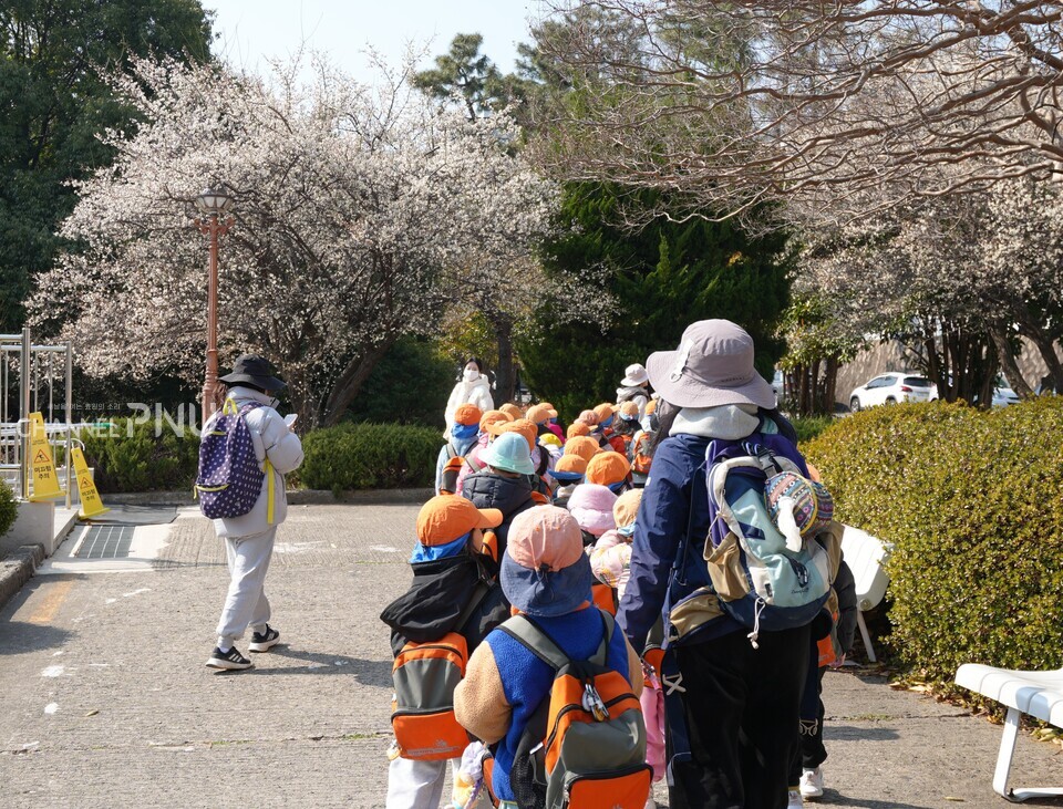 금정회관 후문 쪽 벚꽃이 핀 걸 보고 구경한 후 어울마당을 향해 갔다. [전하은 기자]