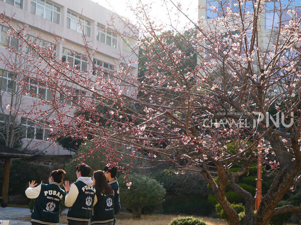 지난 3월 18일, 제1사범관 앞에서 흩날리는 눈꽃을 배경으로 학생들이 사진을 찍고 있다. 겨울 끝자락의 눈꽃과 봄꽃이 스친 그 자리에서 청춘의 순간도 피어났다. [임승하 기자]